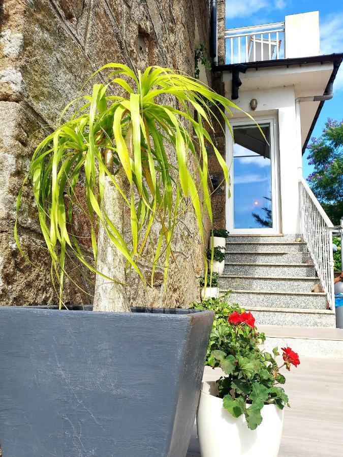 Villa Anselma, Casa Compartida Pontevedra Kültér fotó